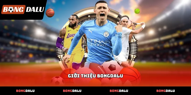 gioi thieu bongdalu Quy trình xác thực thông tin số liệu khi Giới Thiệu BONGDALU